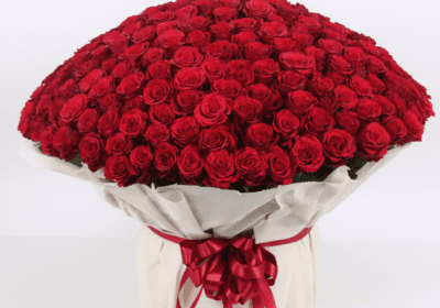 Beautiful Bouquet of 500 Red Roses, 500 red roses