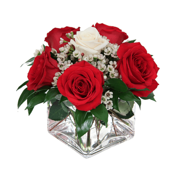 five red roses one white rose glass vase wax flowers black tulip flowers_btf_031