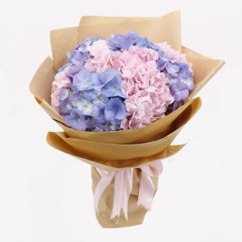 Bunch Of Pink & Purple Hydrangeas