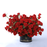 Red rose bush 001