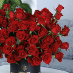 Red rose bush 002