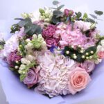 no-song-without-you_2026_02