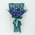 orchid-dandrobium