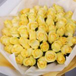 paris-sunset-2026_03