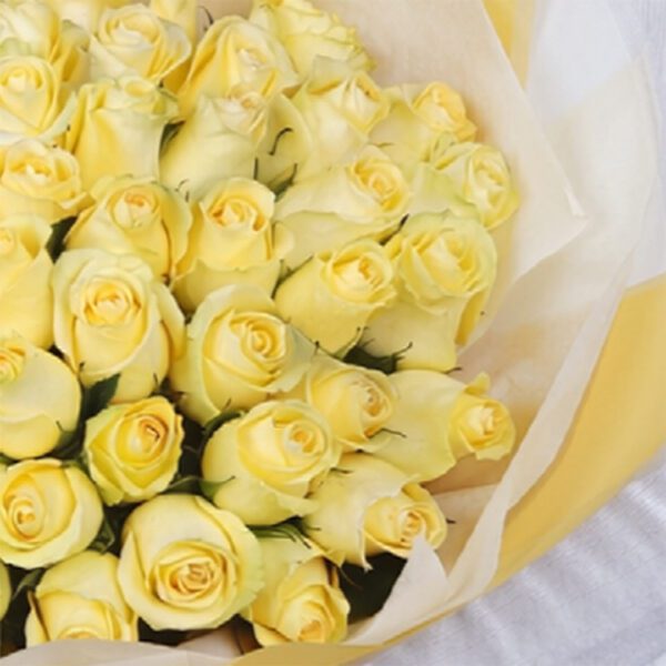 paris-sunset-2026_04