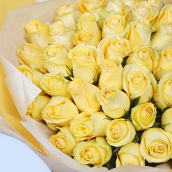 paris-sunset-2026_05