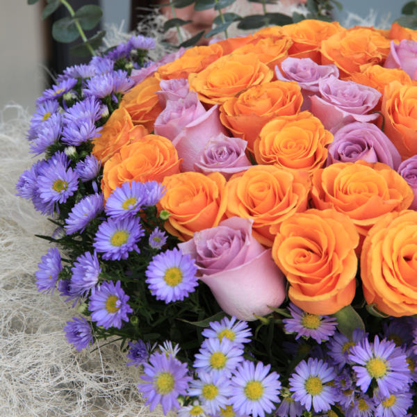 purple and orange2