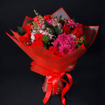 red and fushia 02