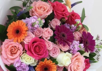 A vibrant bouquet of roses, Gerberas, and Mattiola, perfect for expressing love to a special recipient.