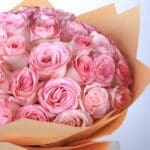 a-heartfelt-gesture_2026_02