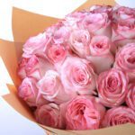 a-heartfelt-gesture_2026_03