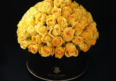 Yellow Roses in a Black Box