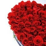 Full of Love