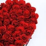 Full of Love