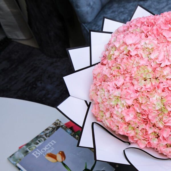 Graceful Hydrangea Graceful Hydrangea by Black Tulip Flowers
