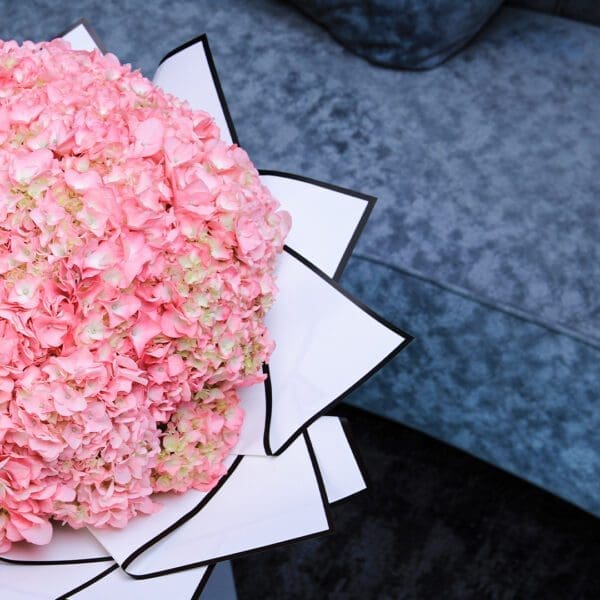 Graceful Hydrangea Graceful Hydrangea by Black Tulip Flowers