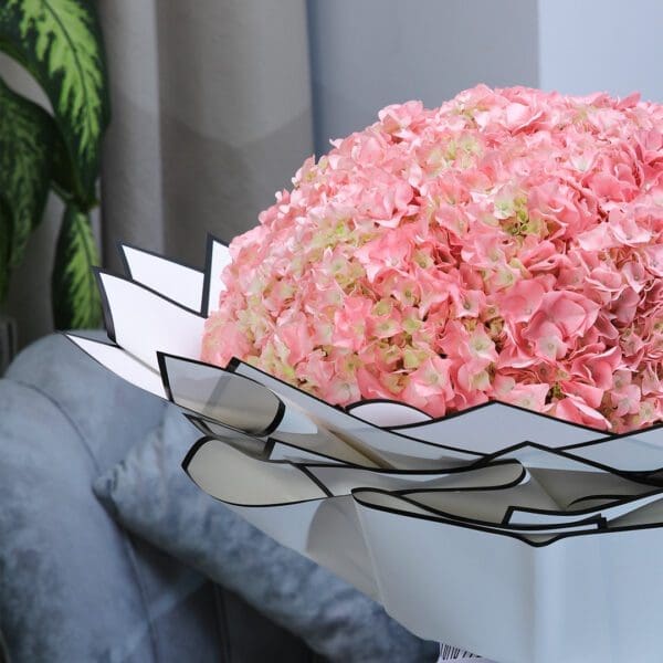 Graceful Hydrangea Graceful Hydrangea by Black Tulip Flowers