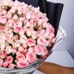 Charming Beauty (2)