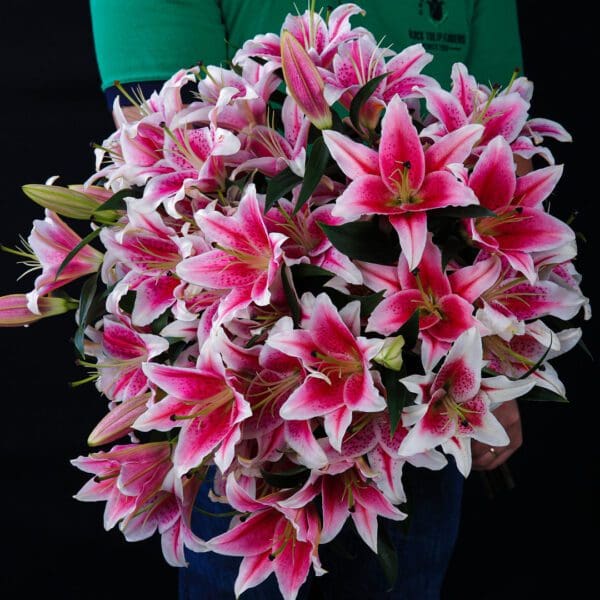 Feminine Lilies (1) Feminine Lilies bouquet by Black Tulip Flowers