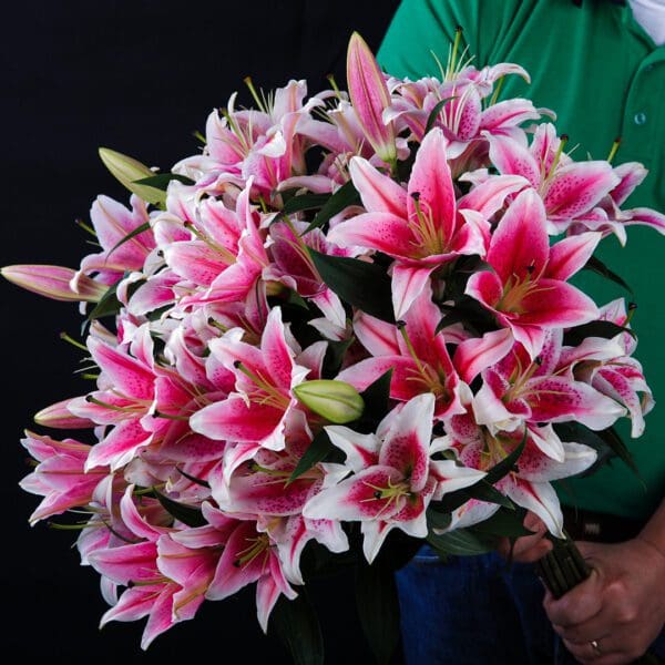 Feminine Lilies (2) Feminine Lilies bouquet by Black Tulip Flowers