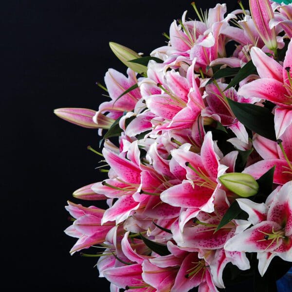 Feminine Lilies (3) Feminine Lilies bouquet by Black Tulip Flowers