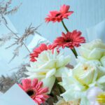 Heavenly Gorgeous (4)