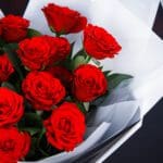 Lovely Red (2)