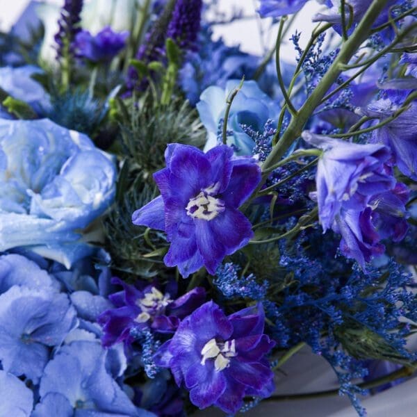Majestic Blue (1)