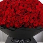 Pure Love (500 Red Roses Bouquet )-1