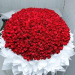 Pure Romance (700 Red Roses Bouquet )