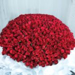 Pure Romance (700 Red Roses Bouquet )-1
