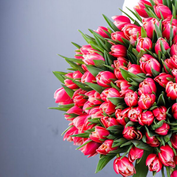 Rare Beauty Tulip bouquet by Black Tulip Flowers