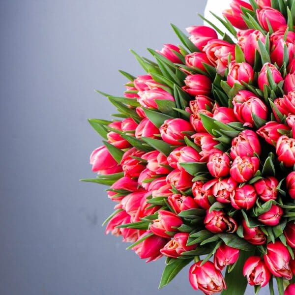 Pink Tulip Bouquet Pink Tulip Bouquet in Qatar