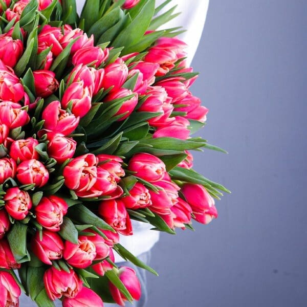 Pink Tulip Bouquet Pink Tulip Bouquet in Qatar