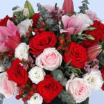 always-close-2026_02