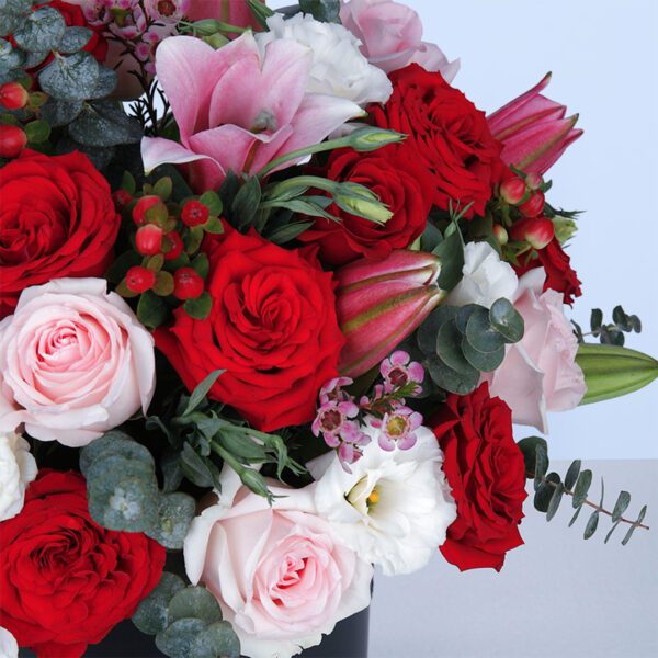 always-close-2026_03