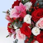 always-close-2026_04