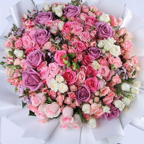 assorted-combination-2026_02