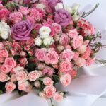 assorted-combination-2026_03