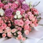 assorted-combination-2026_03