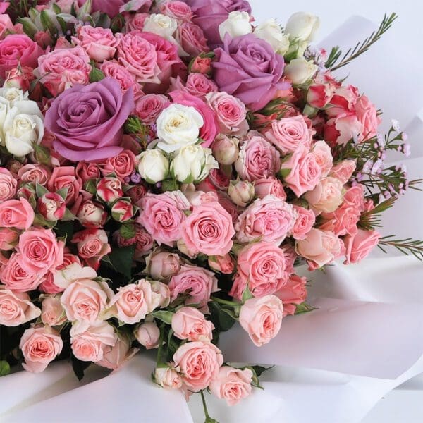 assorted-combination-2026_03
