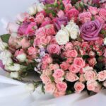 assorted-combination-2026_04