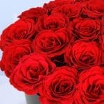 mutual-love-2026_04