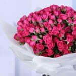 striking pink
