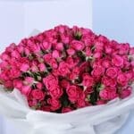 striking pink2