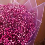 Utmost Beauty of Gypsophila Bouquet