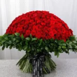 500 Red Roses for Valentine’s