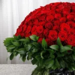 500 Red Roses for Valentine’s-3