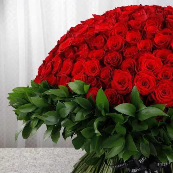 500 Red Roses for Valentine’s Bouquet by Black Tulip Flowers