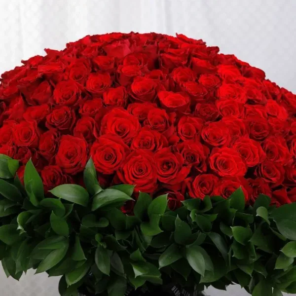 500 Red Roses for Valentine’s Bouquet by Black Tulip Flowers
